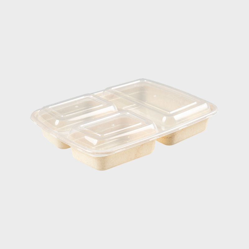 Üç Bölmeli Bento Kutusu PFK004/PFK003