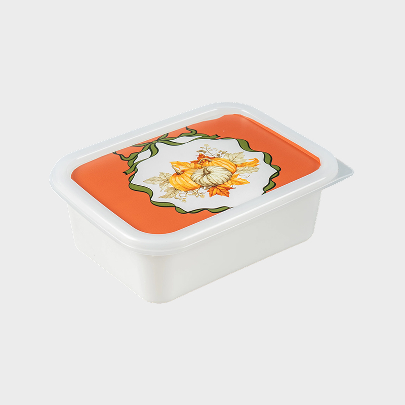 Plastik Saklama Kabı PFB067